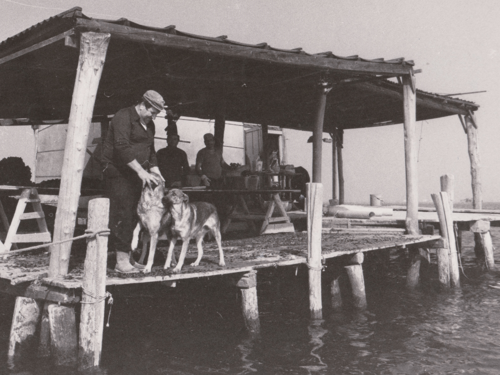 Il museo di Pellestrina | L'archivio. Documenti e fotografie raccolti dal Piccolo Museo della Laguna sud