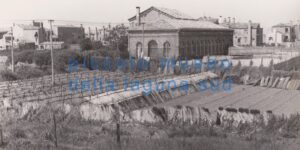 ‘Vigne’ a San Pietro in Volta (anni ’60)